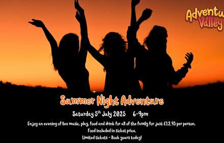 Summer Night Adventure 5th July 2025. Silhouette of people with their hands in the air at sunset.