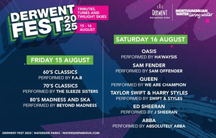 Line up details for Derwent Fest 2025