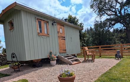 Sycamore Shepherd's Hut at Edge Knoll Farm