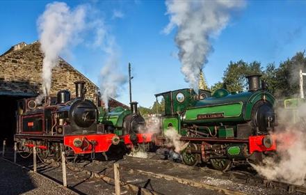 Steam trains at Tanfield Railway