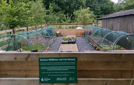 Bowlees Wildflower and Tree Nursery