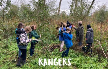 A group of children exploring woodland - Nature Rangers