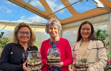 Three people holding succulent-based terrariums at South Causey Inn