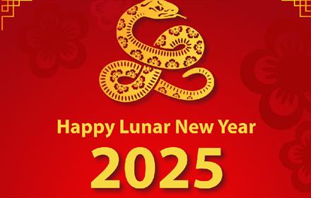 Year of The Snake - Lunar New Year 2025