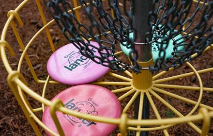 Hamsterley Forest Disc Golf