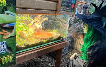 A witch lurking between the tanks at Potter's World, Lanchester Garden Centre.