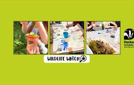 A selection of images of children painting and enjoying craft activities