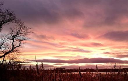 Twilight at RSPB Saltholme. A red, purple and orange sky behind the silhouettes of trees.