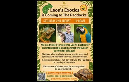Iguana, macaw, tortoise and Leon holding a reptile.