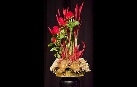 Beautiful red flower display.