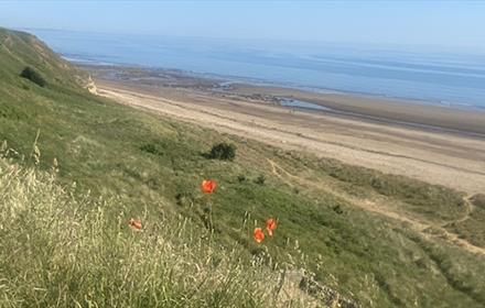 View of Crimdon Beach and dunes on a sunny day.