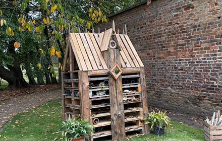 Bug hotel at Raby Castle.
