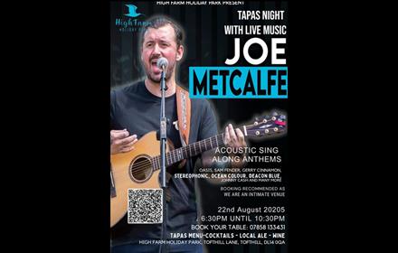 Joe Metcalfe playing guitar and singing on stage
