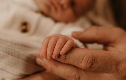 A baby's fingers curled around their parent's hand.