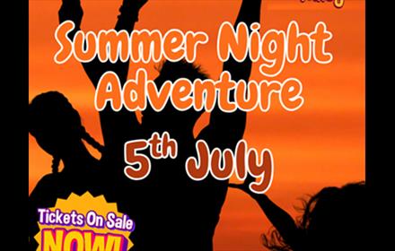 Summer Night Adventure 5th July 2025. Silhouette of people with their hands in the air at sunset.
