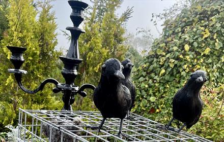 Halloween at Lanchester Garden Centre (decorations include crows).