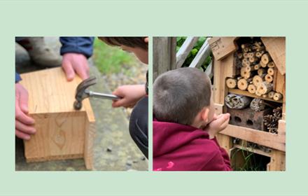 Children working with staff to build bird boxes and bug hotels
