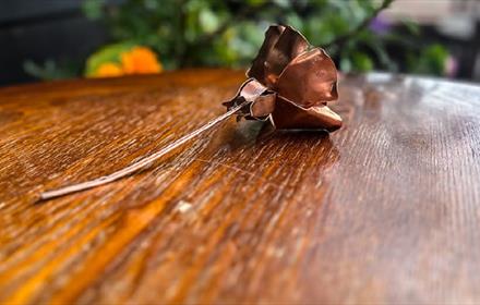 A Copper Rose