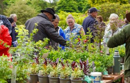 People attending a specialist plant and garden Fair