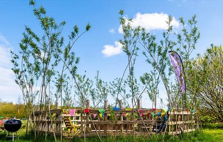 Trees and colourful bunting surrounding an area of Dalton Moor Farm.