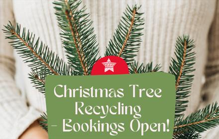 Christmas tree recycling - bookings open! Someone holding the branch of a Christmas tree.