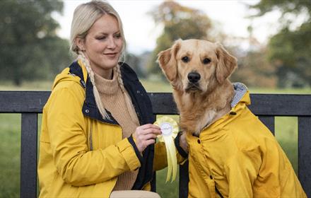 A woman sitting on a bench with a golden retriever in matching yellow coats