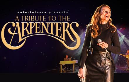 Sally Creedon performing on stage - a tribute to 'The Carpenters'