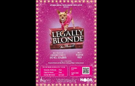 Legally Blonde The Musical. Poster of a dog on books, wearing a pink coat.
