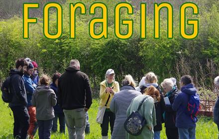 A group foraging at Dalton Moor Farm.