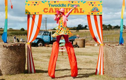 A performer singing on stilts between rolls of hay at Tweddle Carnival.