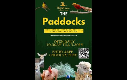 Sheep, a goat, a pig, rabbits and a peacock.