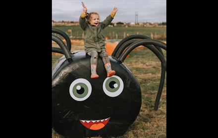 Child sitting on a giant spider - Pumpkin picking at Tweddle Farm