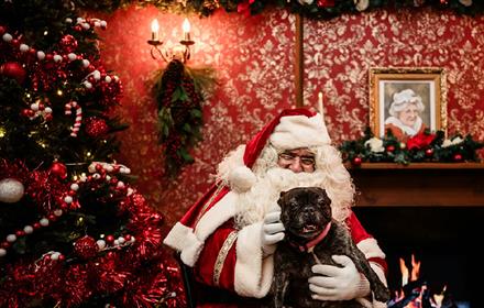 Santa cuddling a dog in front of a festive fireplace.