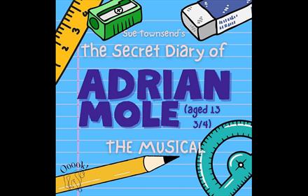 'The Secret Diary of Adrian Mole' - illustrations of a pencil, ruler, rubber and protractor