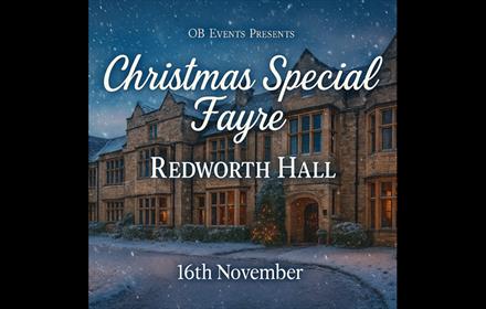 Christmas Special Fayre - Snowy image of Redworth Hall.