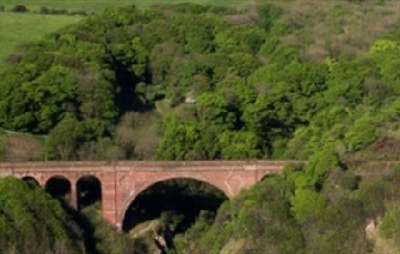 Aerial View of Hawthorn Dene