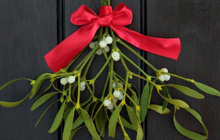 Mistletoe with a red ribbon