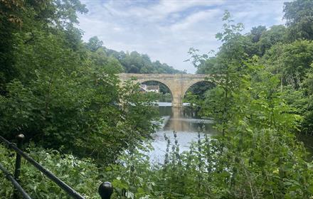 View of the riverbanks towards Prebends Bridge.