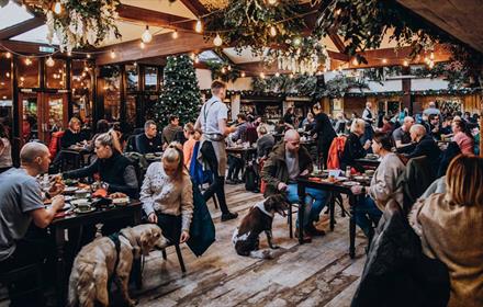 Visitors and their dogs enjoying a Full English Breakfast in the Durham Suite at South Causey Inn.