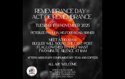 Poppy on poster. Remembrance Day, act of Remembrance.