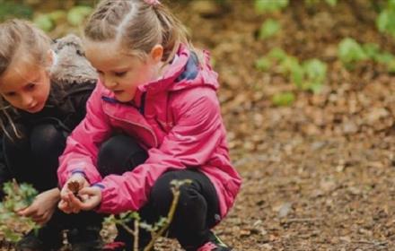 Two young girls crouching and looking at leaves at Rainton Meadows
