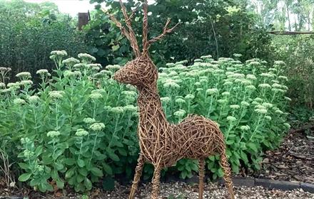 A willow reindeer