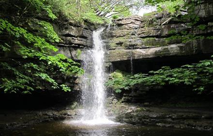 Waterfall at Gibson's Cave, situated nearby to Bowlees Visitor Centre