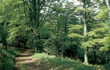 Castle Eden Denemouth Heritage Coastal Footpath