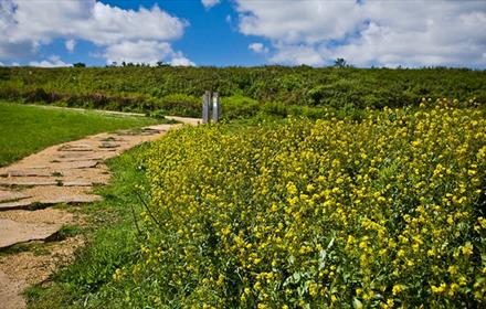 Walking on the Durham Heritage Coast