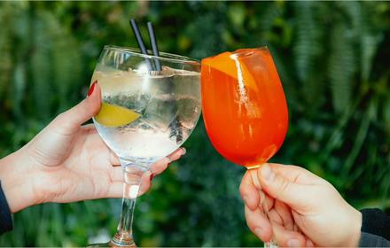 Image of two people toasting with cocktails.