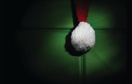 Pom Pom from a Santa hat on a green background