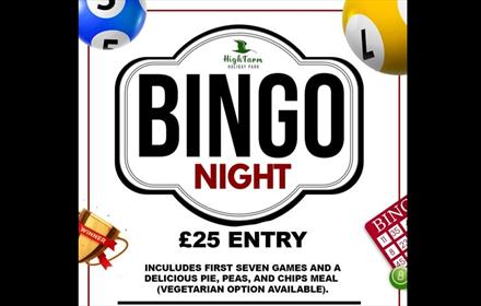 Advertising poster with wording Bingo Night, entry fee and illustrations of bingo balls and card