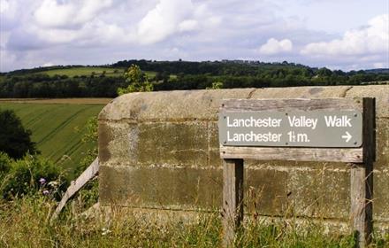 Lanchester Roman Walk