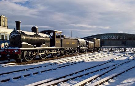 Locomotion on a snowy day